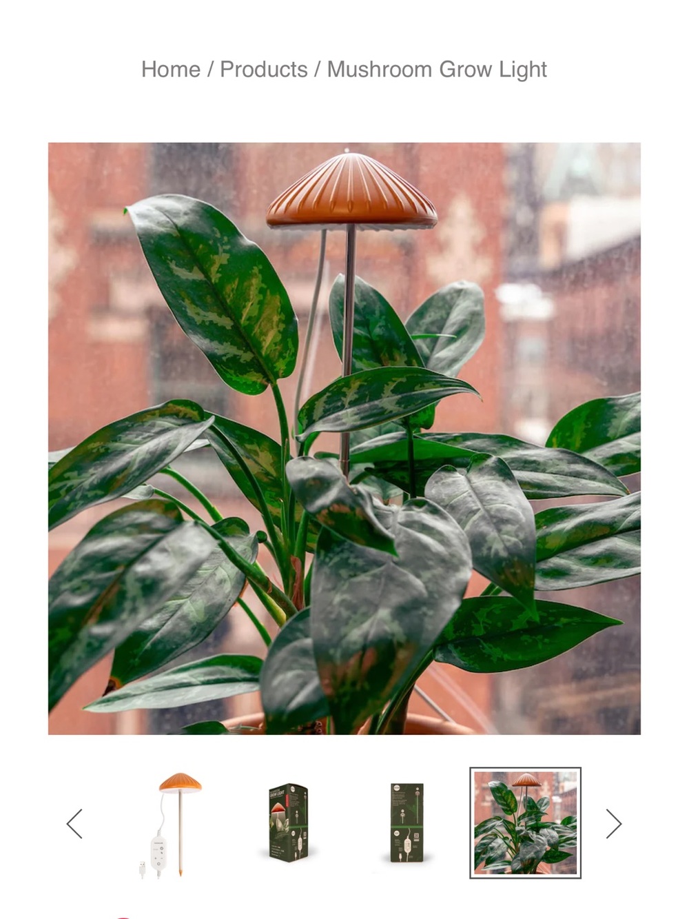 Kikkerland Orange Mushroom USB Plant Light with White Controller - Picture 2 of 3